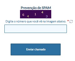 preencher captcha e clicar em enviar